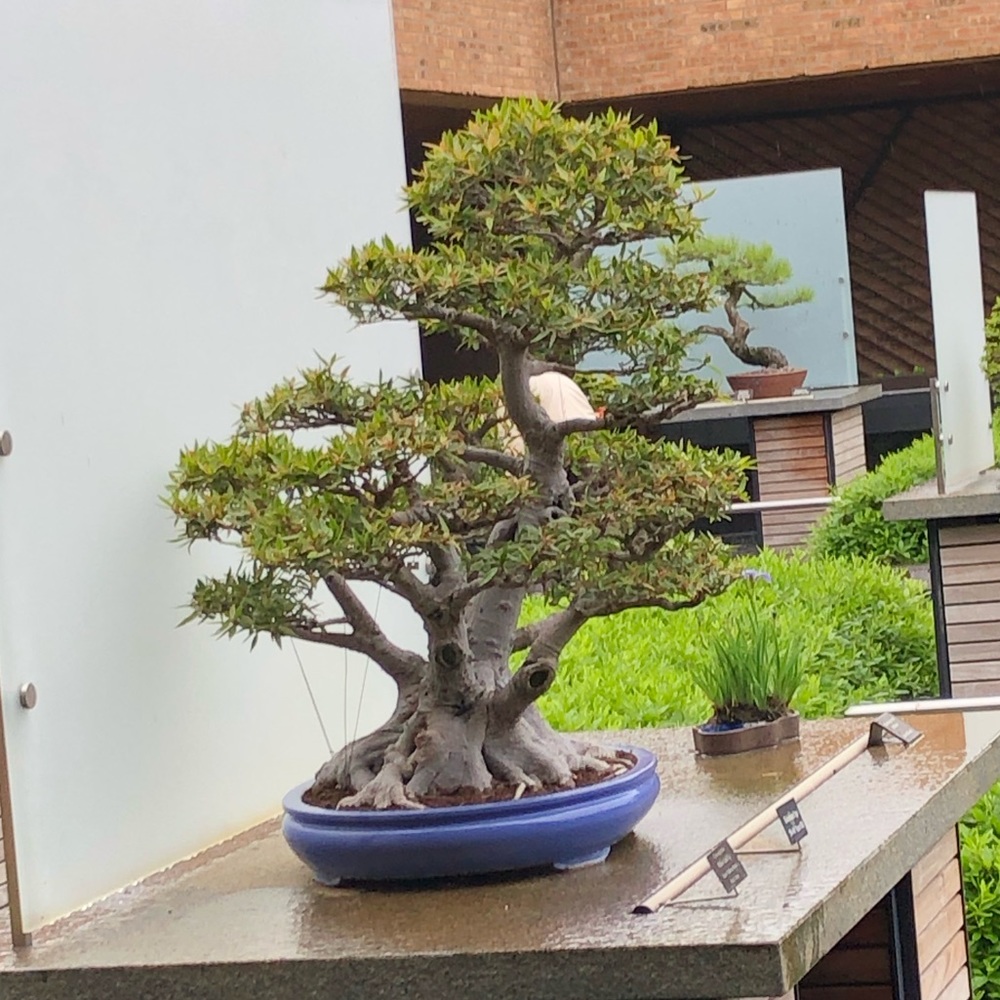 Meet your Posher, Kena